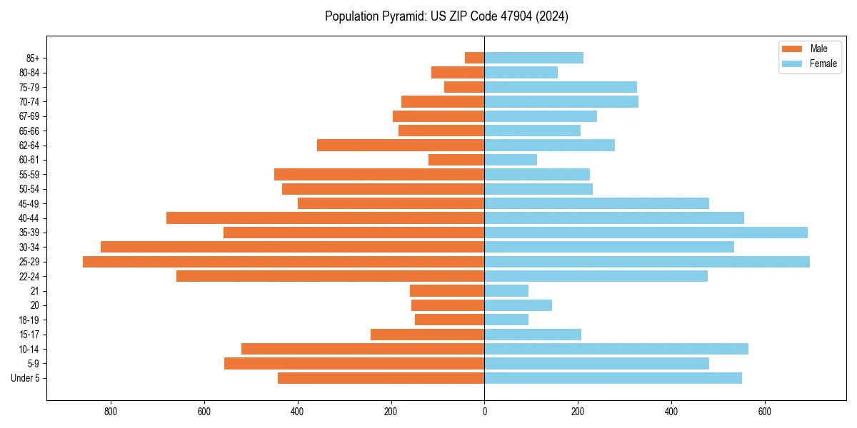 Population pyramid for 