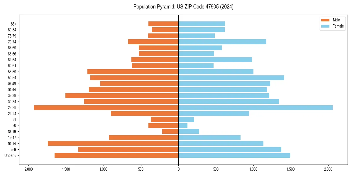 Population pyramid for 