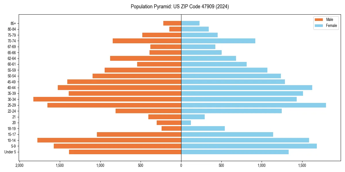 Population pyramid for 