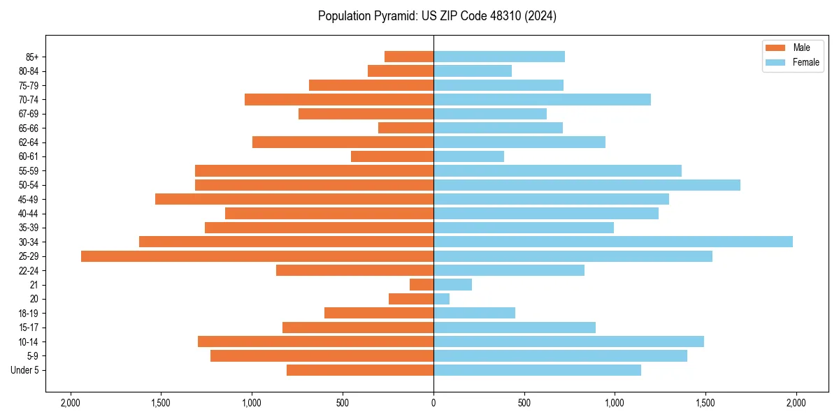 Population pyramid for 