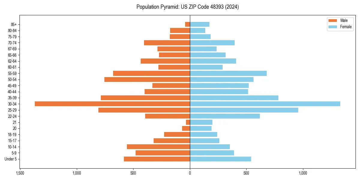 Population pyramid for 
