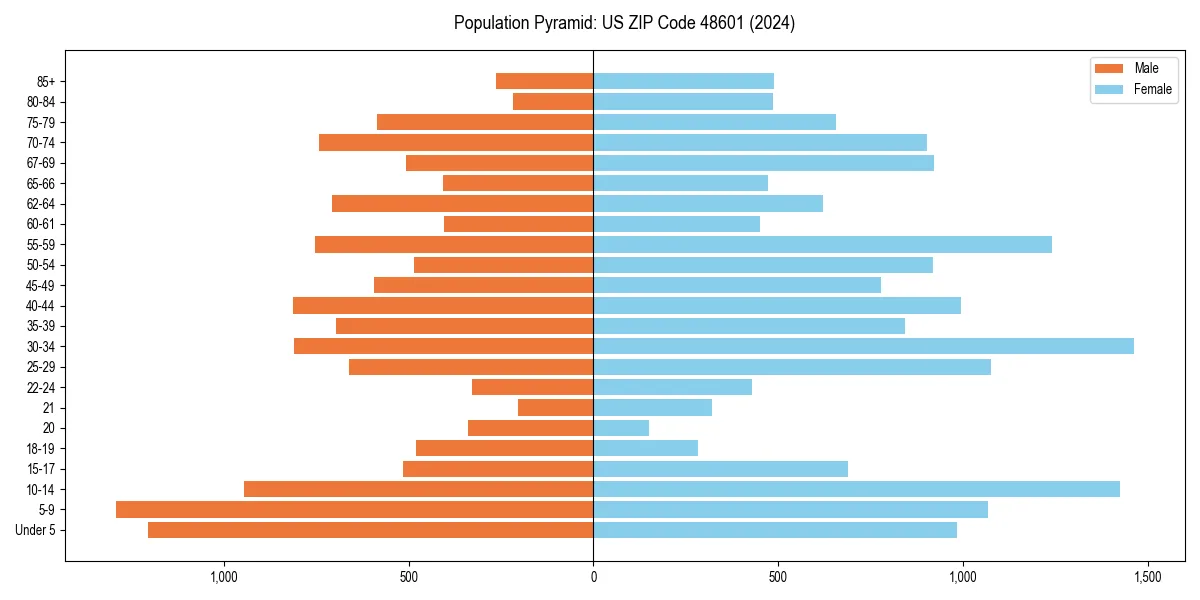 Population pyramid for 