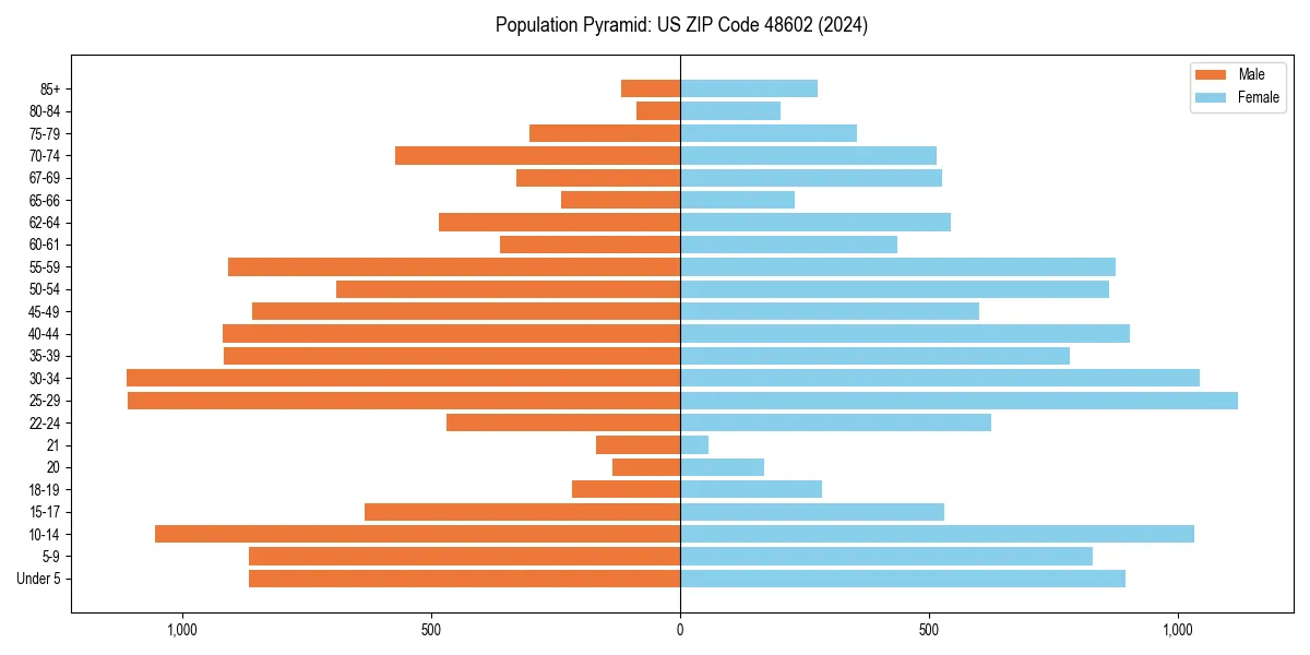 Population pyramid for 