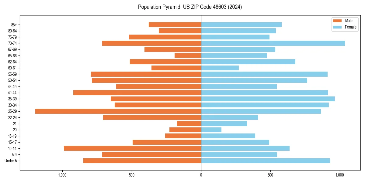 Population pyramid for 