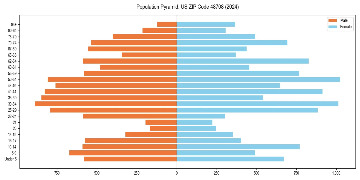 Population pyramid for 