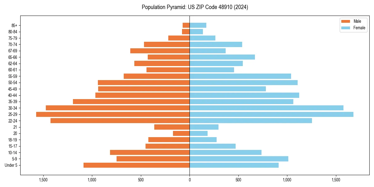 Population pyramid for 
