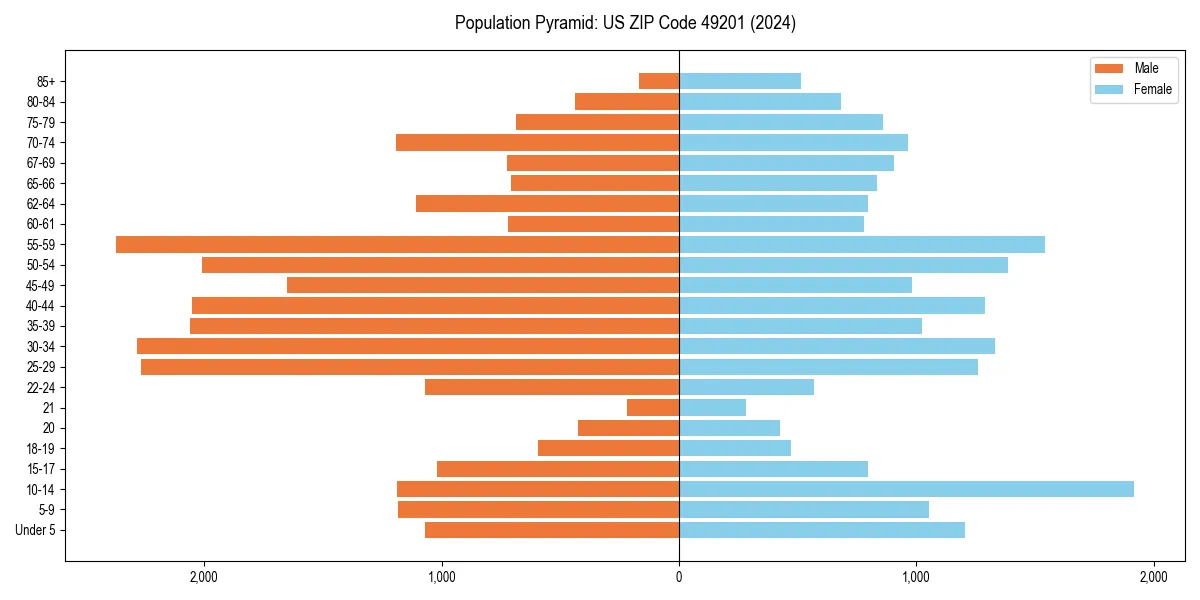 Population pyramid for 