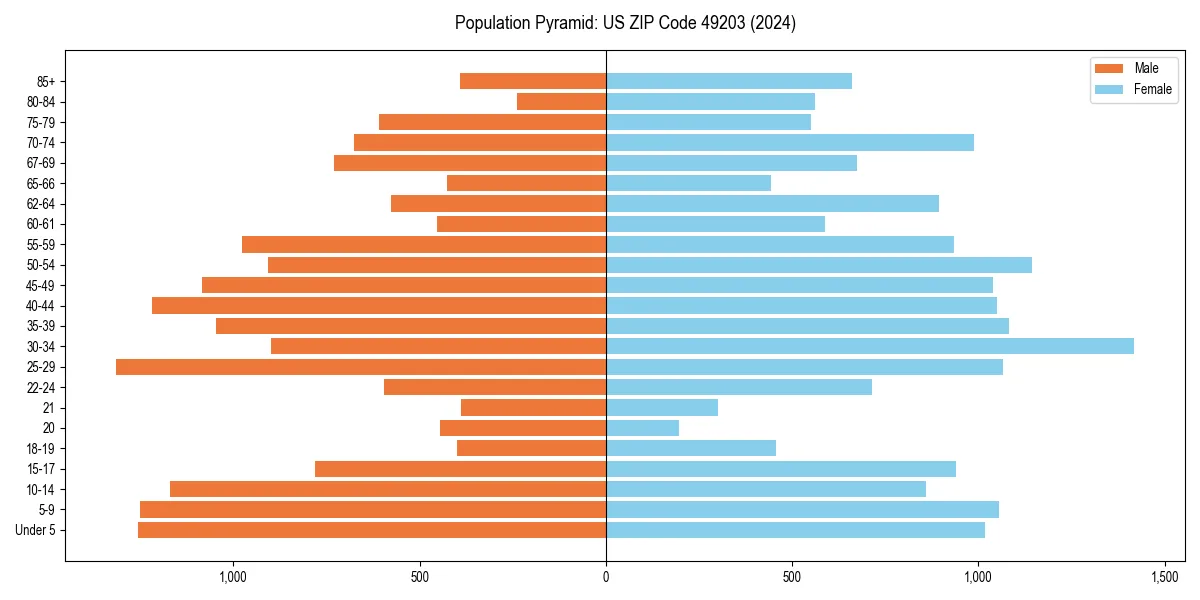 Population pyramid for 
