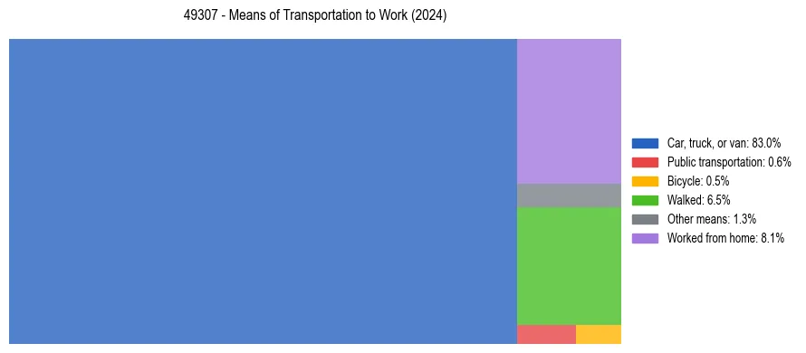 Commute modes in US ZIP Code 49307