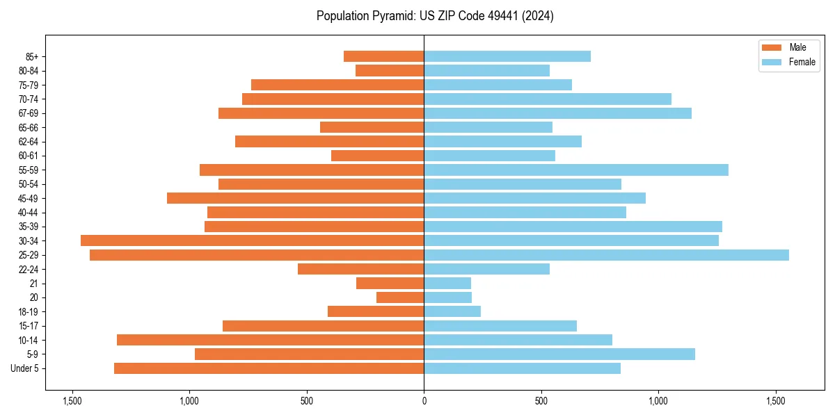 Population pyramid for 