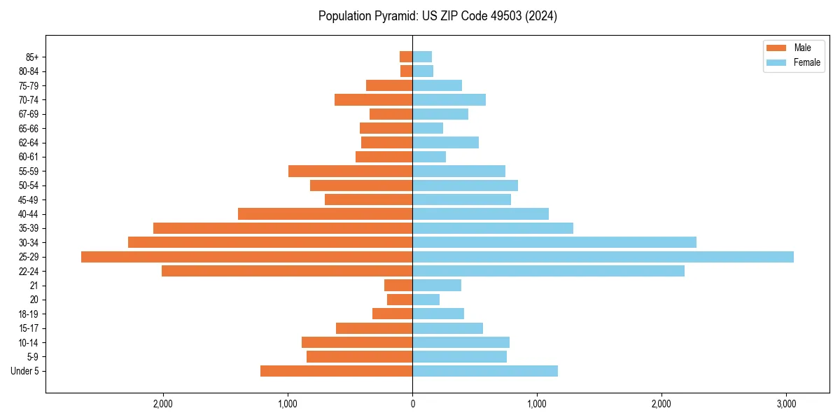 Population pyramid for 