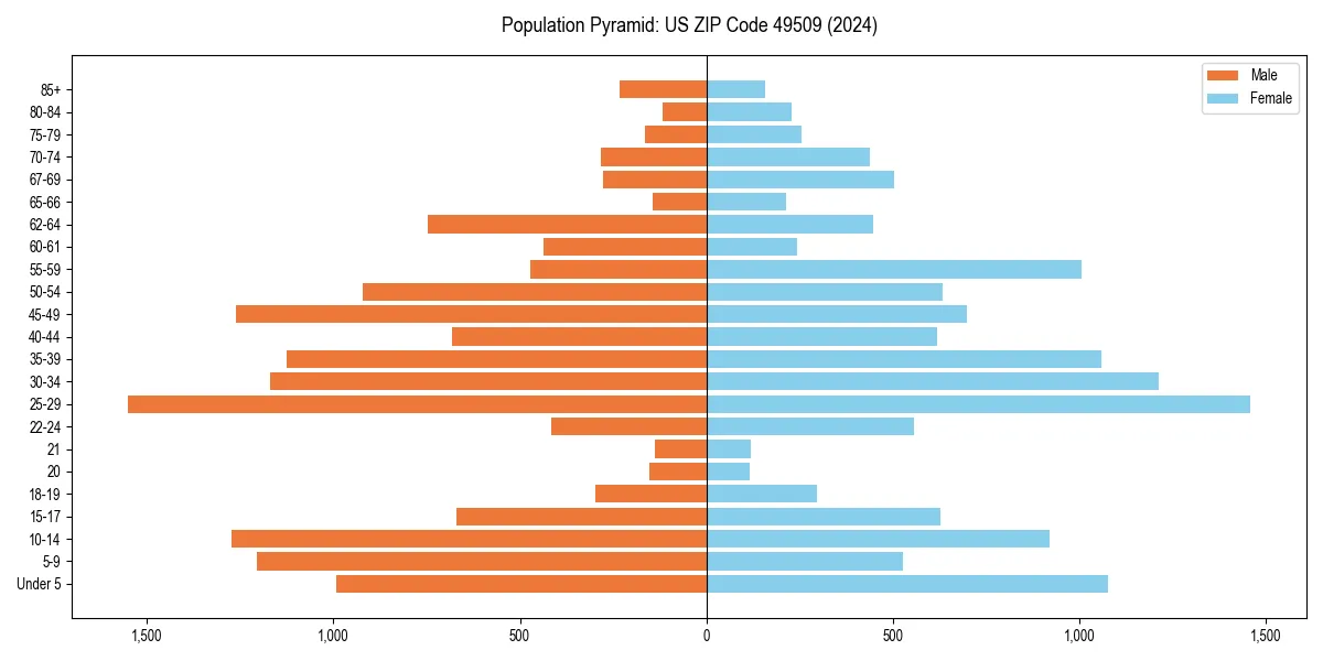 Population pyramid for 