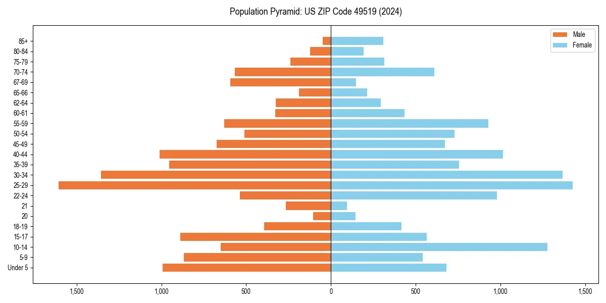 Population pyramid for 