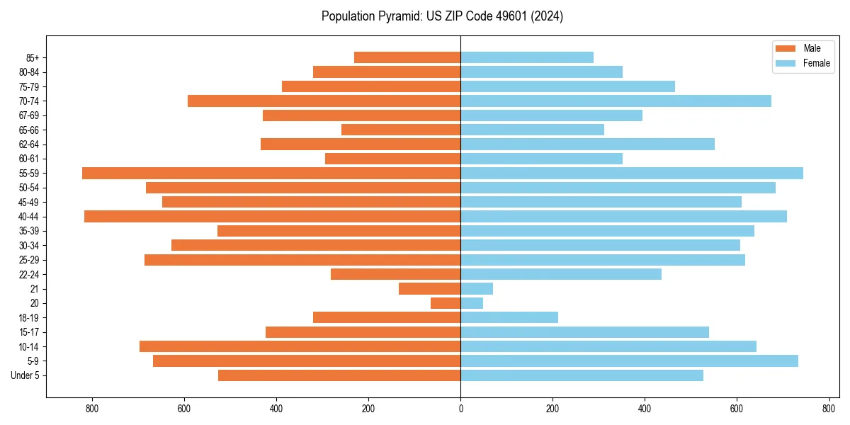 Population pyramid for 
