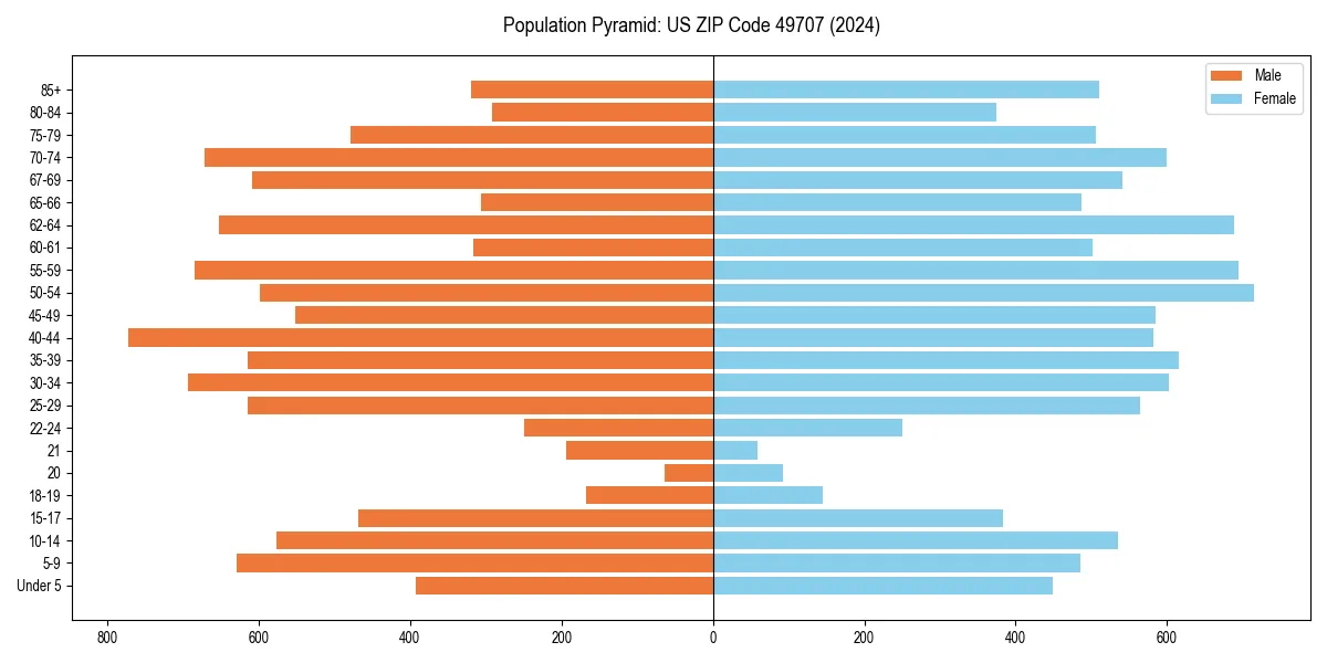 Population pyramid for 