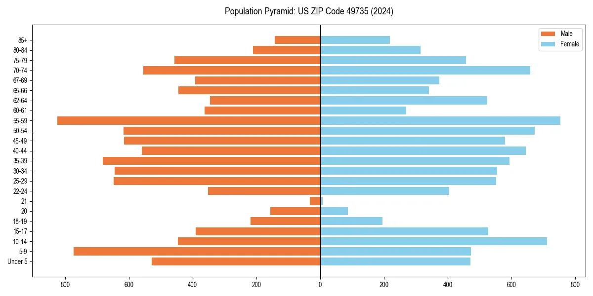 Population pyramid for 