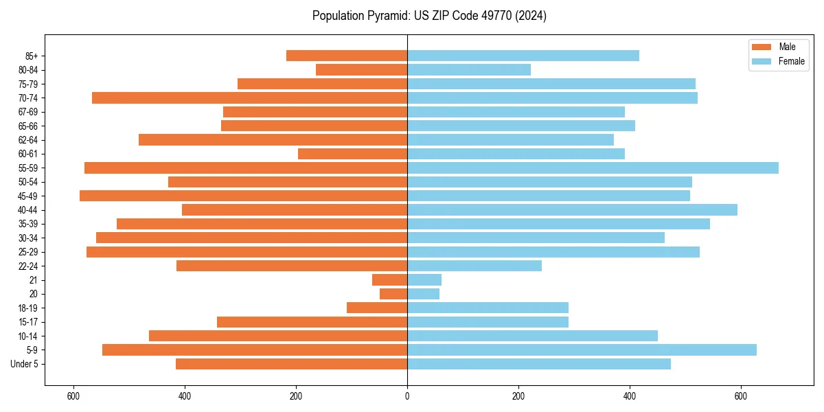 Population pyramid for 