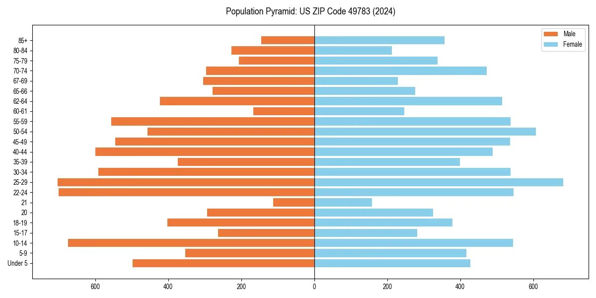Population pyramid for 