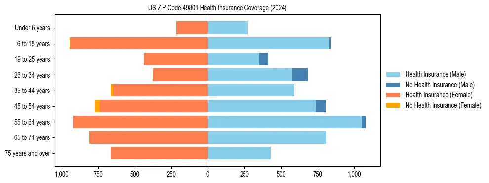 Health insurance pyramid for US ZIP Code 49801