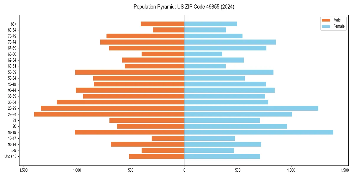 Population pyramid for 