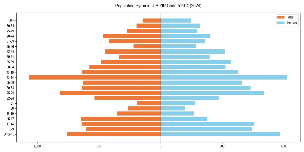 Population pyramid for 