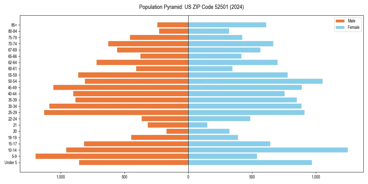 Population pyramid for 