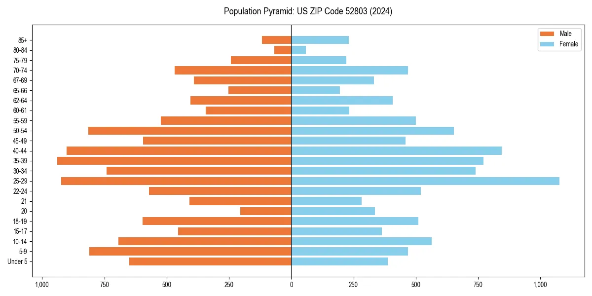 Population pyramid for 