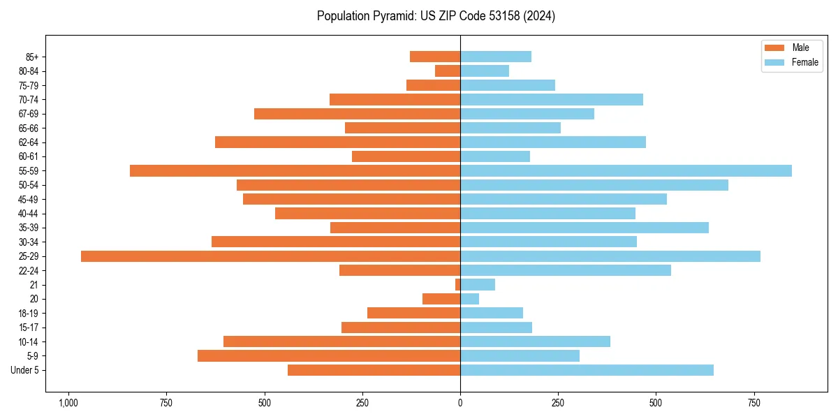 Population pyramid for 