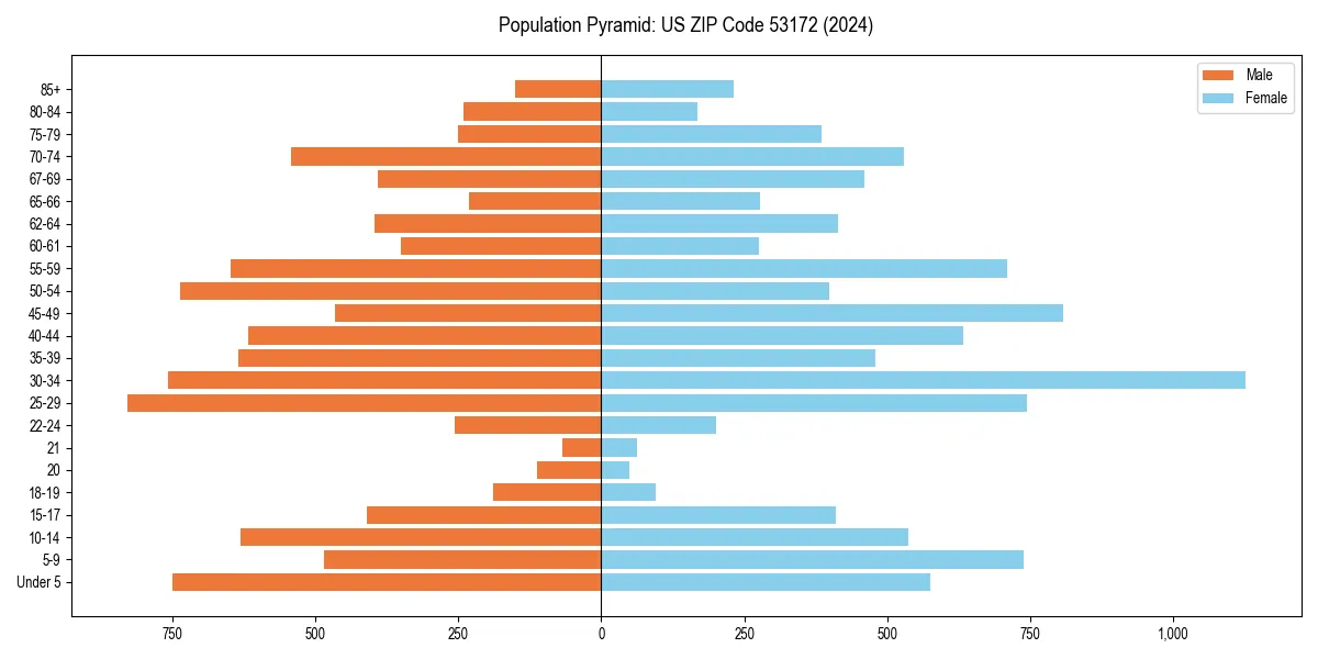 Population pyramid for 