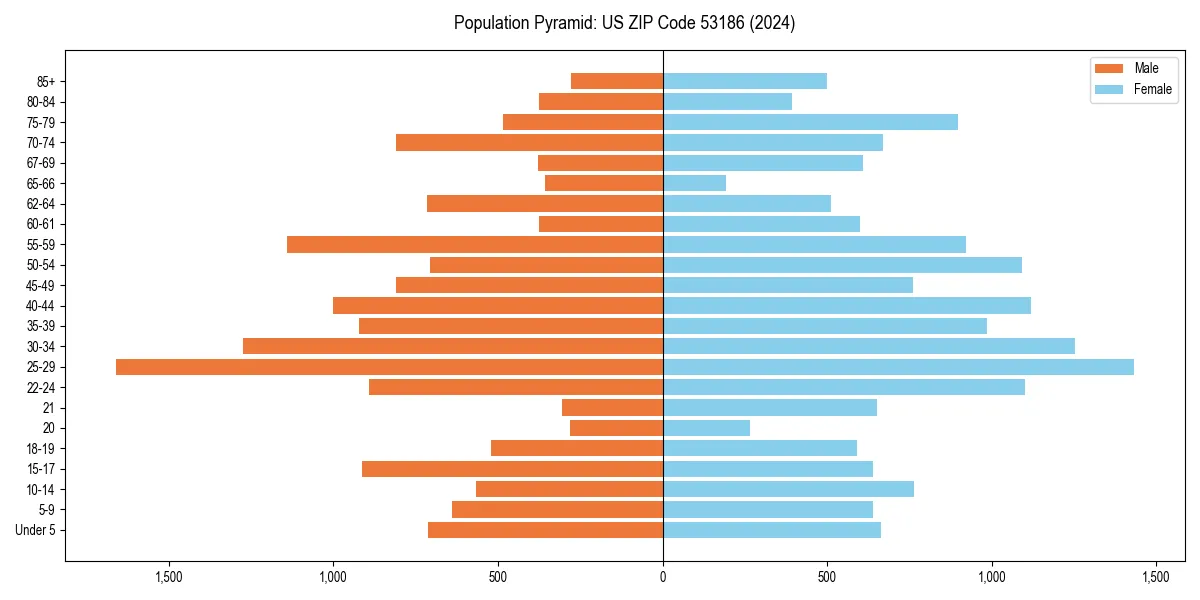 Population pyramid for 