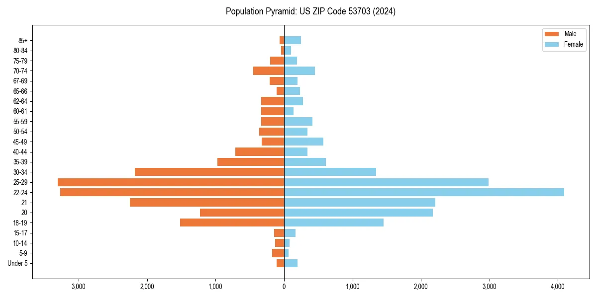 Population pyramid for 