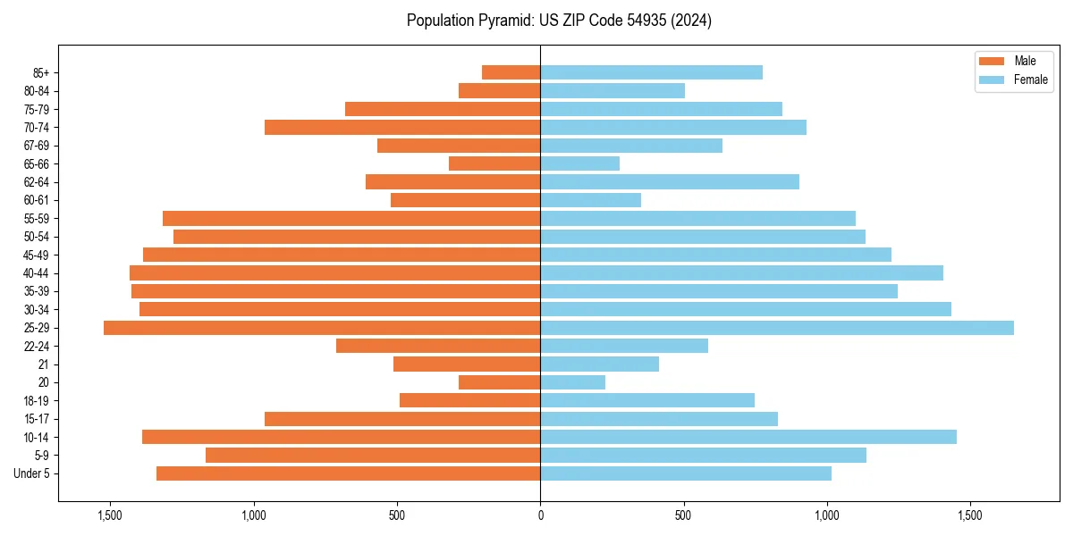 Population pyramid for 