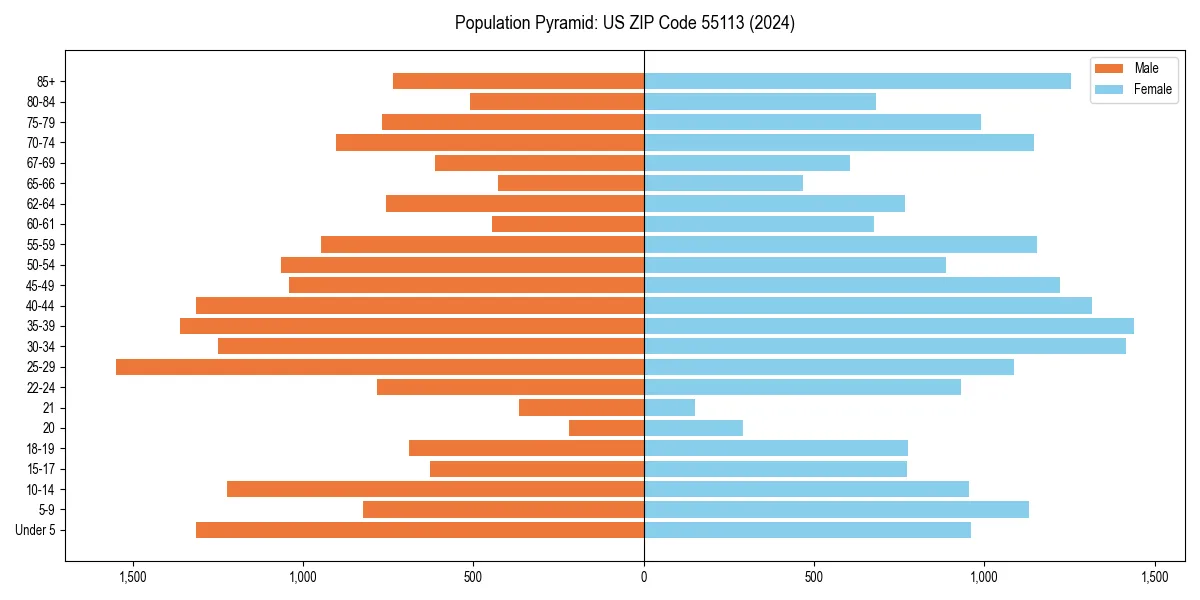 Population pyramid for 