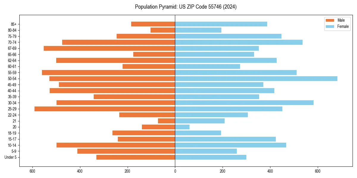 Population pyramid for 