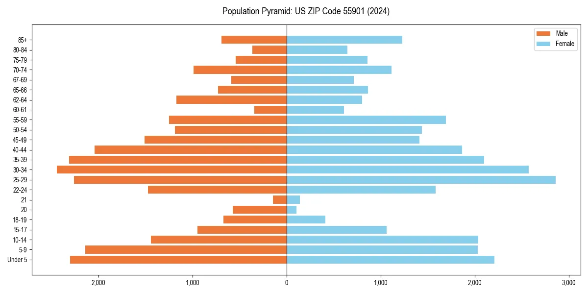 Population pyramid for 