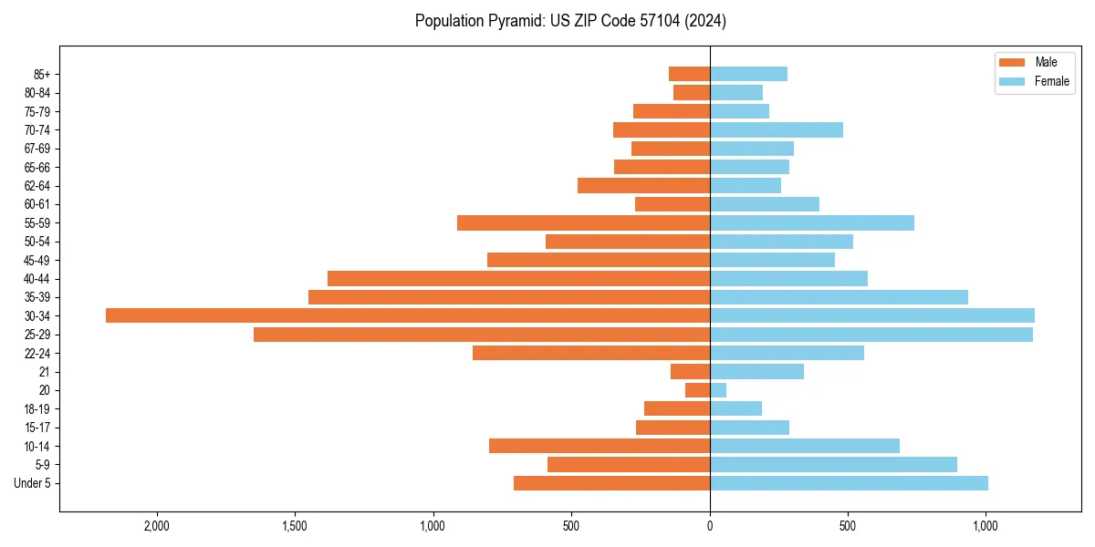 Population pyramid for 
