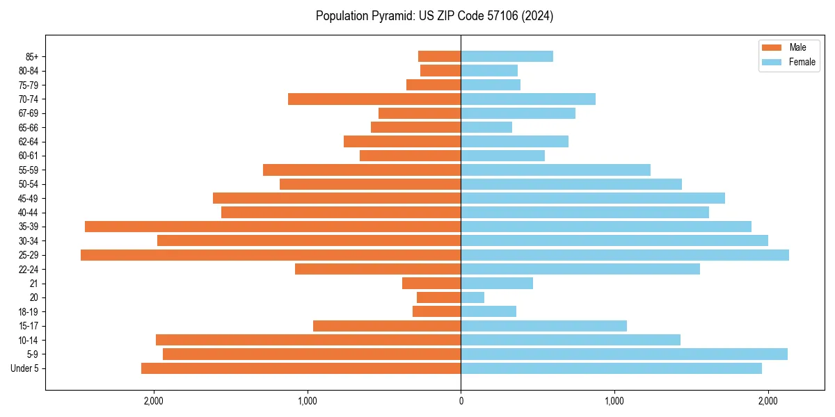 Population pyramid for 