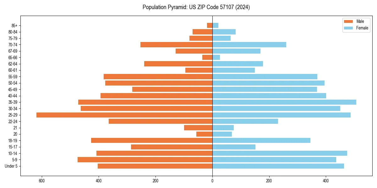 Population pyramid for 