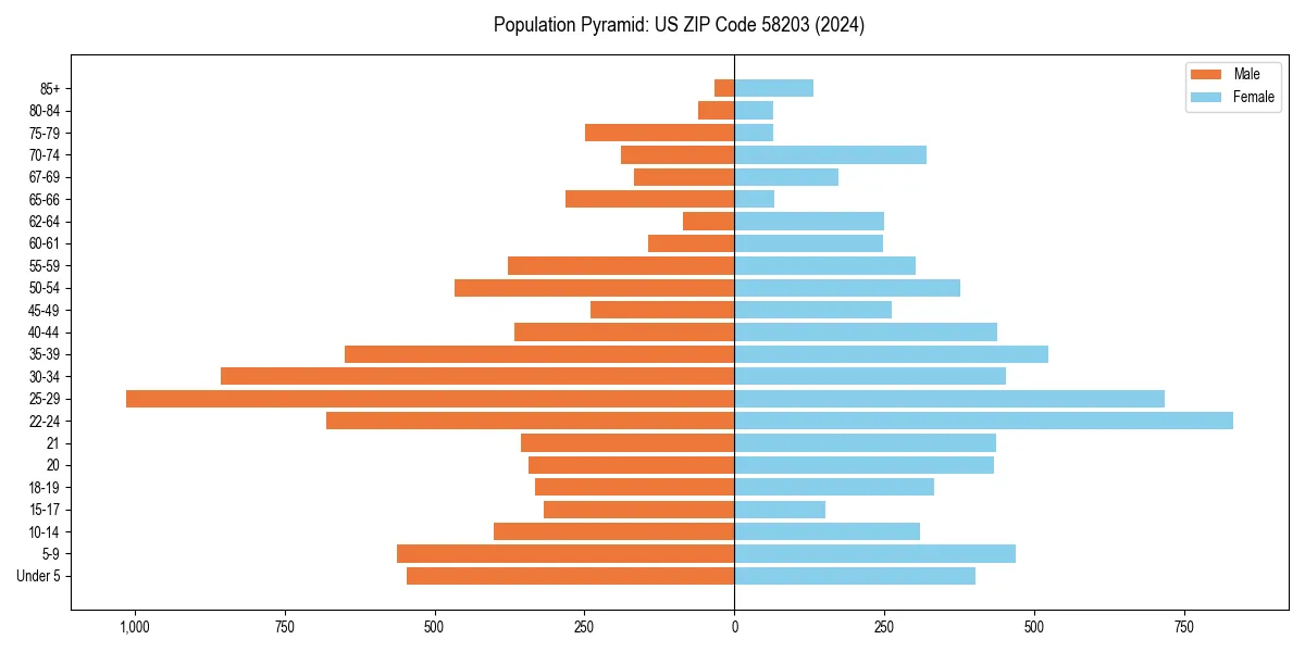 Population pyramid for 