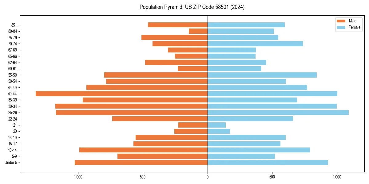 Population pyramid for 