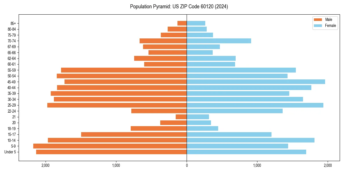 Population pyramid for 