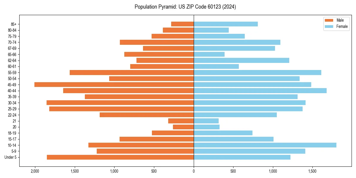Population pyramid for 