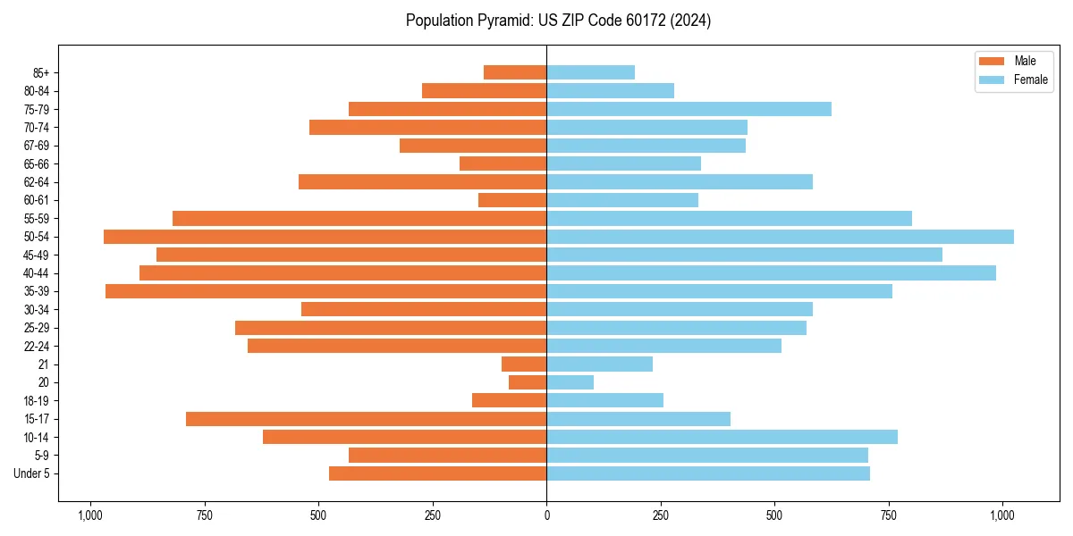 Population pyramid for 
