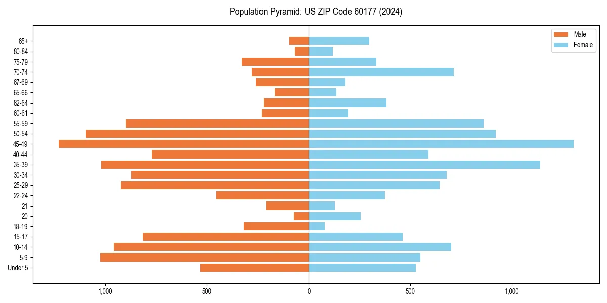 Population pyramid for 
