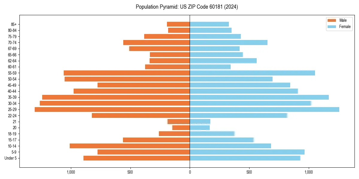 Population pyramid for 