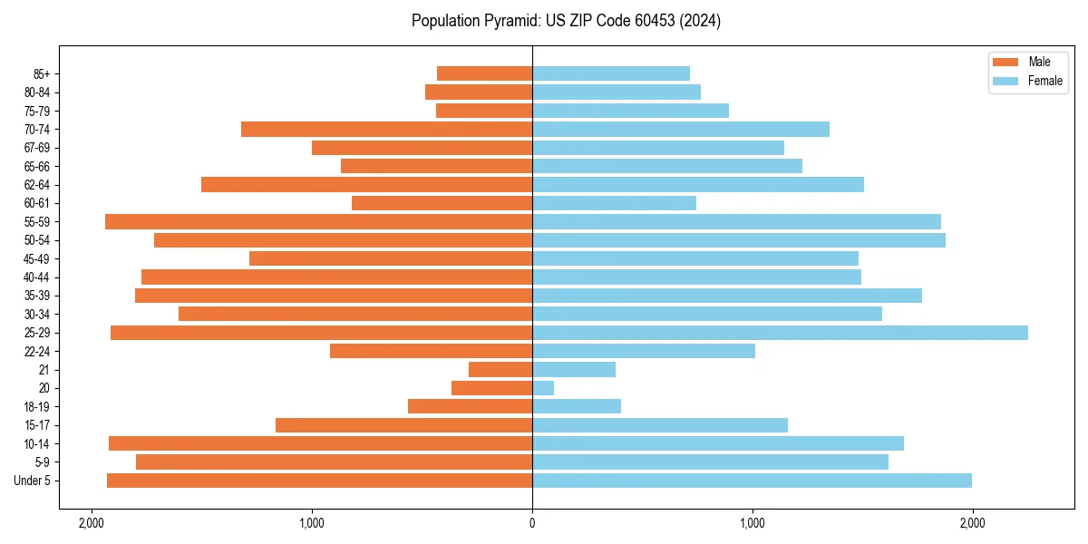 Population pyramid for 