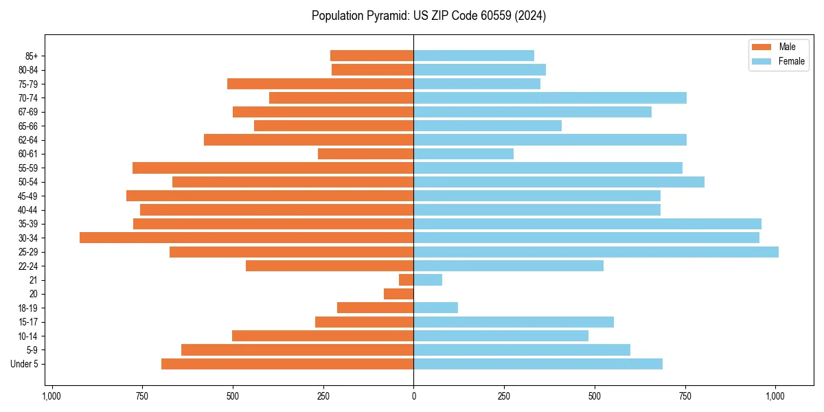 Population pyramid for 