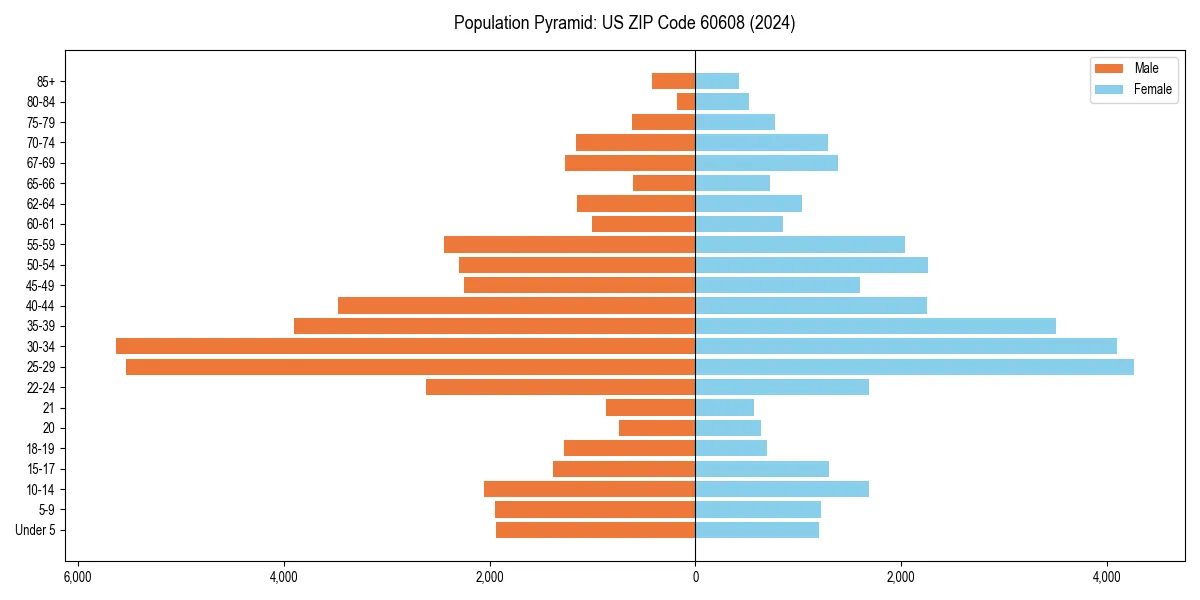 Population pyramid for 
