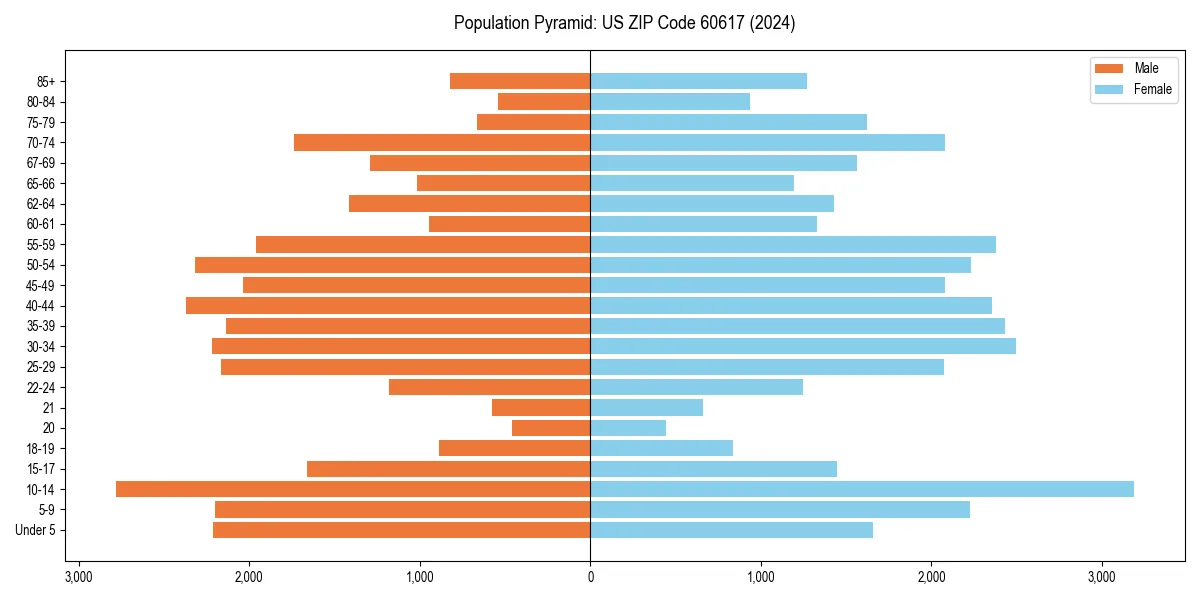 Population pyramid for 