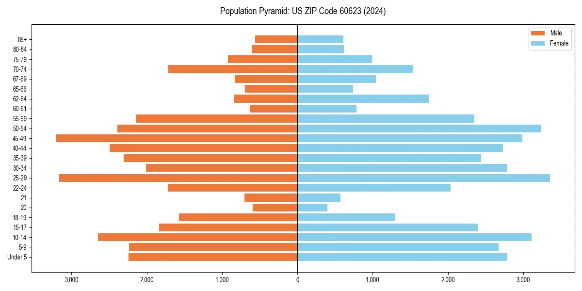 Population pyramid for 
